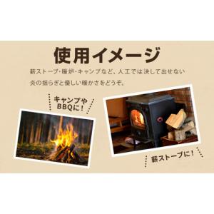 ふるさと納税 雑貨・日用品 秋田県 鹿角市 ナ...の詳細画像4