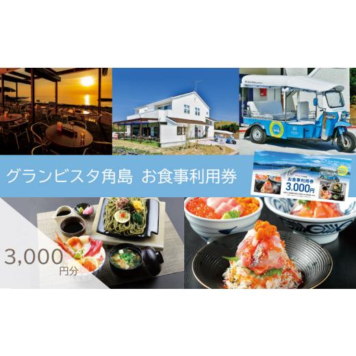 ふるさと納税 お食事券 山口県 下関市 食事利用券 3,000円分 グランビスタ角島 ( 旅行 観光...