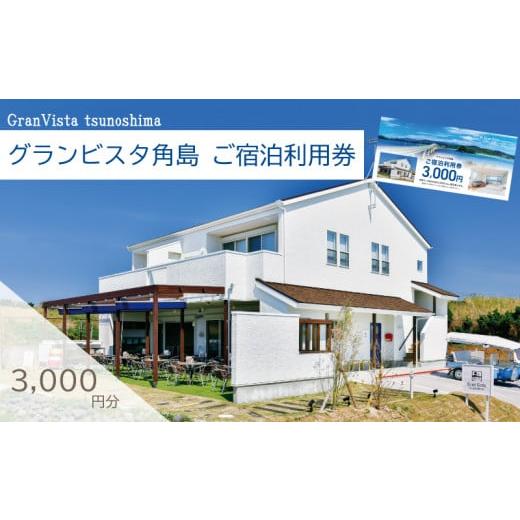 ふるさと納税 宿泊券 ホテル 山口県 下関市 宿泊利用券 3,000円分 グランビスタ角島 ( 宿泊...