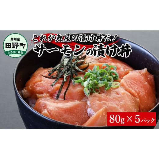 ふるさと納税 魚貝類 高知県 田野町 これが魚屋の漬け丼だ サーモン 80g×5P 5パック 漬け ...