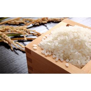 ふるさと納税 米 ササニシキ 山形県 新庄市 ...の詳細画像3