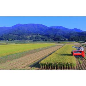 ふるさと納税 米 ササニシキ 山形県 新庄市 ...の詳細画像5