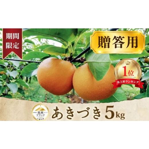 ふるさと納税 果物の詰合せ 茨城県 筑西市  ランキング1位獲得 梨 あきづき 5kg (8〜14玉...