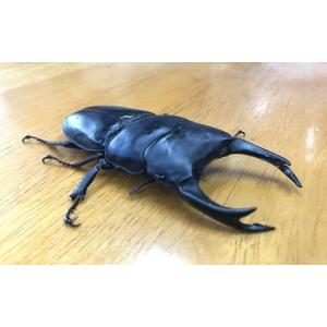 ふるさと納税 生き物 鹿児島県 錦江町 No....の詳細画像1