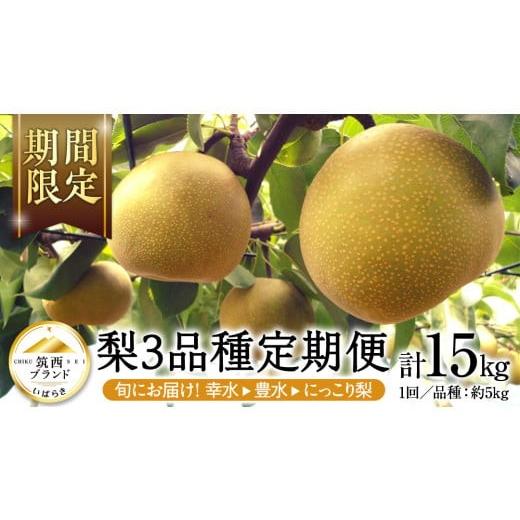 ふるさと納税 梨 茨城県 筑西市  JA 北つくば 筑西ブランド 認証品 梨 3種 定期便 セット ...