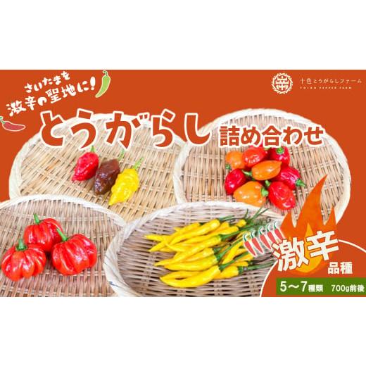 ふるさと納税 野菜類 埼玉県 さいたま市  十色とうがらしファーム とうがらし　 激辛 品種詰合せ　...