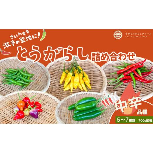 ふるさと納税 野菜類 埼玉県 さいたま市  十色とうがらしファーム とうがらし　 中辛 品種詰合せ　...