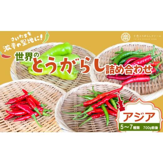 ふるさと納税 野菜類 埼玉県 さいたま市  十色とうがらしファーム 世界のとうがらし詰合せ アジア ...