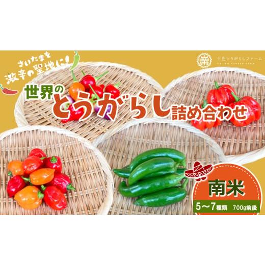 ふるさと納税 野菜類 埼玉県 さいたま市  十色とうがらしファーム 世界のとうがらし詰合せ 南米 　...