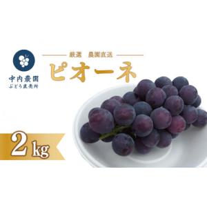 ふるさと納税 果物類 ぶどう 徳島県 阿波市 先行予約 ピオーネ 2kg 《 2026年 8月 上旬 〜 順次発送 》フルーツ ぶどう 葡萄 期間限定 旬 産地直送 農家直送 …