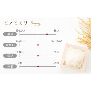 ふるさと納税 米 ヒノヒカリ 熊本県 山鹿市 ...の詳細画像5