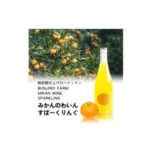 ふるさと納税 ワイン スパークリングワイン 香...の詳細画像2