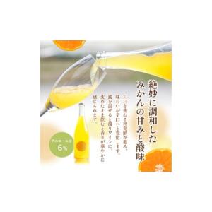 ふるさと納税 ワイン スパークリングワイン 香...の詳細画像4