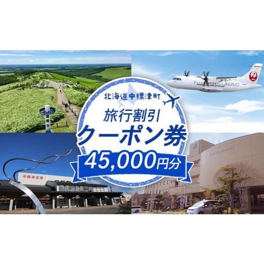 ふるさと納税 宿泊券 ホテル 北海道 中標津町 旅行割引 クーポン券 45,000円分 寄付額 15...