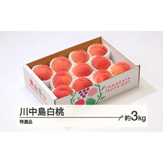 ふるさと納税 もも 山形県 山辺町  先行予約 もも 桃 川中島白桃 特選品 約3kg(6~12個程...