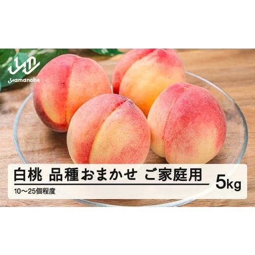 ふるさと納税 もも 山形県 山辺町  先行予約 もも 桃 品種おまかせ 白桃 ご家庭用 約5kg(1...