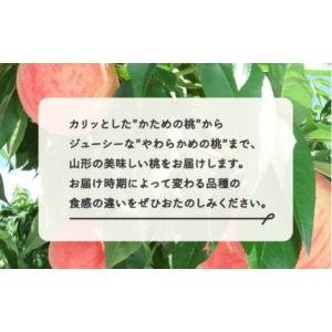 ふるさと納税 もも 山形県 山辺町 もも 桃 ...の詳細画像5