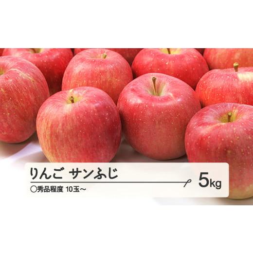 ふるさと納税 りんご 山形県 山辺町 先行予約 りんご サンふじ ◯秀品程度 約5kg(10~20...