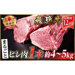 ふるさと納税 牛肉 ステーキ 岐阜県 羽島市 毎月定期便 飛騨牛 ヒレ1本(約4〜5kg) 全12回 4053255