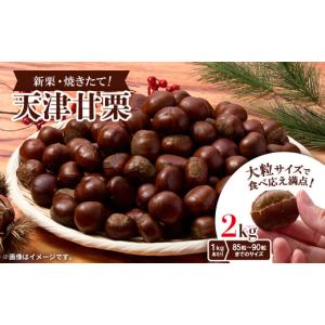 ふるさと納税 和菓子 大阪府 茨木市  2kg 新栗ビックサイズ 焼きたて 天津甘栗　大粒サイズ　期間限定でお届けします。_ 栗 くり 甘栗 天津甘栗 おやつ スイー…