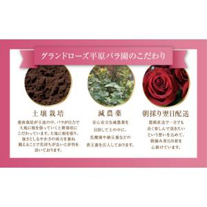 ふるさと納税 雑貨・日用品 花 愛知県 田原市...の詳細画像5