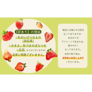 ふるさと納税 いちご 福岡県 赤村 先行予約/...の詳細画像4