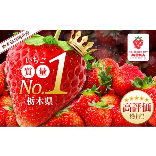 ふるさと納税 いちご 栃木県 真岡市  チョイス限定 2026年先行予約 とちあいか 大粒 500g...