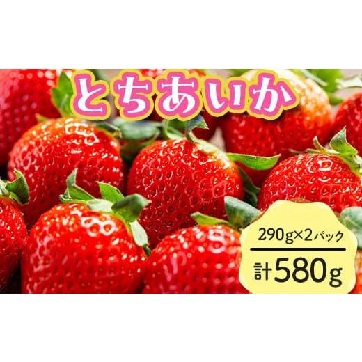 ふるさと納税 いちご 栃木県 塩谷町  先行予約 とちあいか 290g×2パック 計580g｜いちご...
