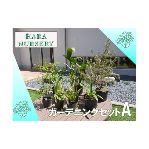 ふるさと納税 花・苗木 佐賀県 みやき町 BS177_ガーデニングセットA 花 苗 植物 家庭菜園 ...