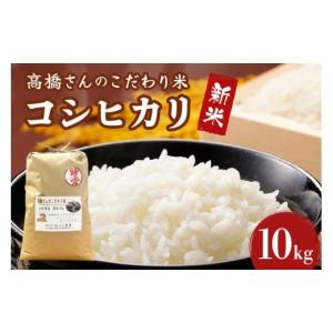 ふるさと納税 米 岐阜県 川辺町  数量限定 新米 高橋さんのこだわり米（精米）10kg R7年産新米 精米 米 お米 おこめ コメ 白米 令和7年 令和7産 新米 国産 202…｜ふるさとチョイス