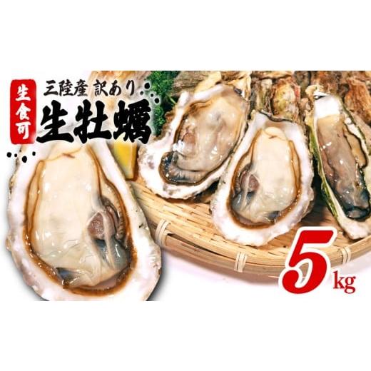 ふるさと納税 牡蠣 生牡蠣 岩手県 大船渡市 訳あり 生食 殻付き 牡蠣 5kg かき カキ kak...