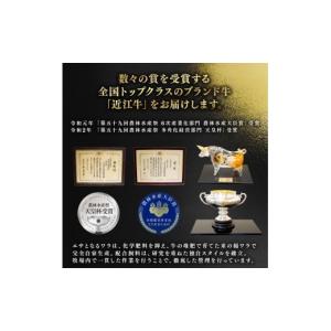 ふるさと納税 肉 ハンバーグ 滋賀県 竜王町 ...の詳細画像3