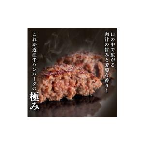 ふるさと納税 肉 ハンバーグ 滋賀県 竜王町 ...の詳細画像5