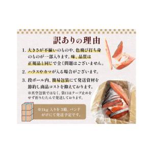 ふるさと納税 魚貝類 鮭 宮城県 石巻市 訳あ...の詳細画像5