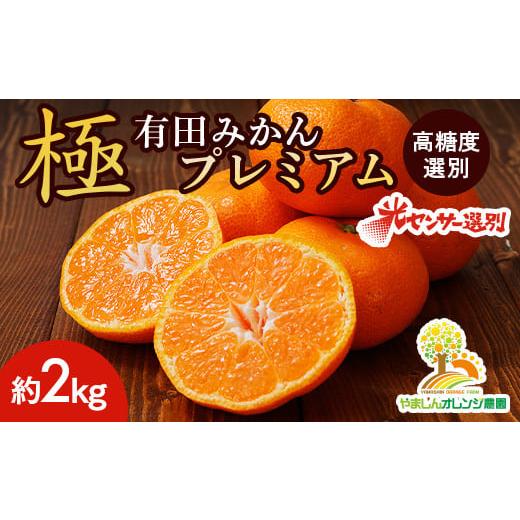 ふるさと納税 果物類 みかん 和歌山県 美浜町 ＼光センサー選別／極 有田みかんプレミアム 約2kg...