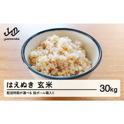 ふるさと納税 米 はえぬき 山形県 山辺町  配送時期が選べる 《先行予約》 2025年産 令和7年...