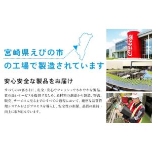ふるさと納税 お茶類 宮崎県 えびの市 2回定...の詳細画像2