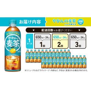 ふるさと納税 お茶類 宮崎県 えびの市 2回定...の詳細画像4