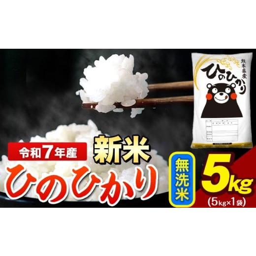 ふるさと納税 米 ヒノヒカリ 熊本県 荒尾市 新米 令和7年産 ひのひかり 無洗米 5kg 《12月...