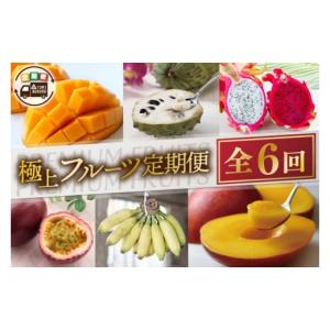 ふるさと納税 果物類 沖縄県 豊見城市 6回定期...の商品画像