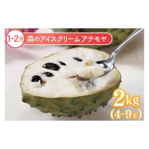 ふるさと納税 果物類 沖縄県 豊見城市 6回定...の詳細画像2