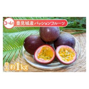 ふるさと納税 果物類 沖縄県 豊見城市 6回定...の詳細画像3