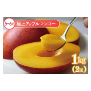 ふるさと納税 果物類 沖縄県 豊見城市 6回定...の詳細画像4