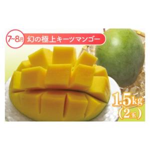 ふるさと納税 果物類 沖縄県 豊見城市 6回定...の詳細画像5
