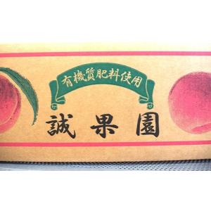 ふるさと納税 もも 青森県 南部町 先行予約 ...の詳細画像4