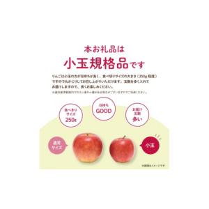 ふるさと納税 りんご 長野県 中野市 先行受付...の詳細画像2