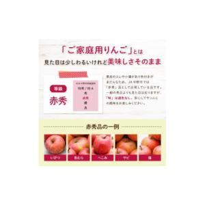 ふるさと納税 りんご 長野県 中野市 先行受付...の詳細画像3