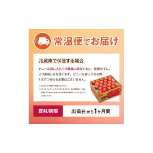 ふるさと納税 りんご 長野県 中野市 先行受付...の詳細画像4