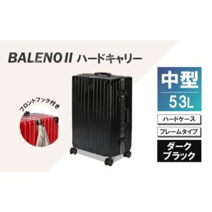 ふるさと納税 カバン 神奈川県 厚木市 Apertaライトキャリー小型カフェ