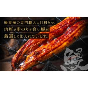 ふるさと納税 うなぎ 福岡県 宗像市 うなぎ蒲...の詳細画像2